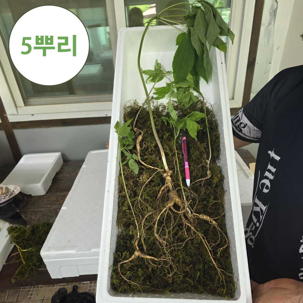 1749626183 thumbnail