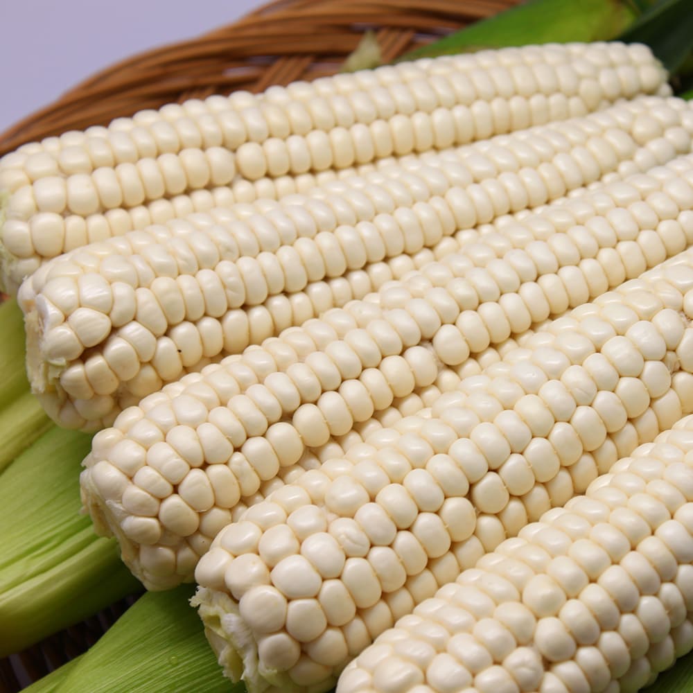 1749709190 thumbnail