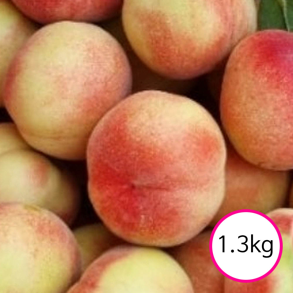 1750225791 thumbnail