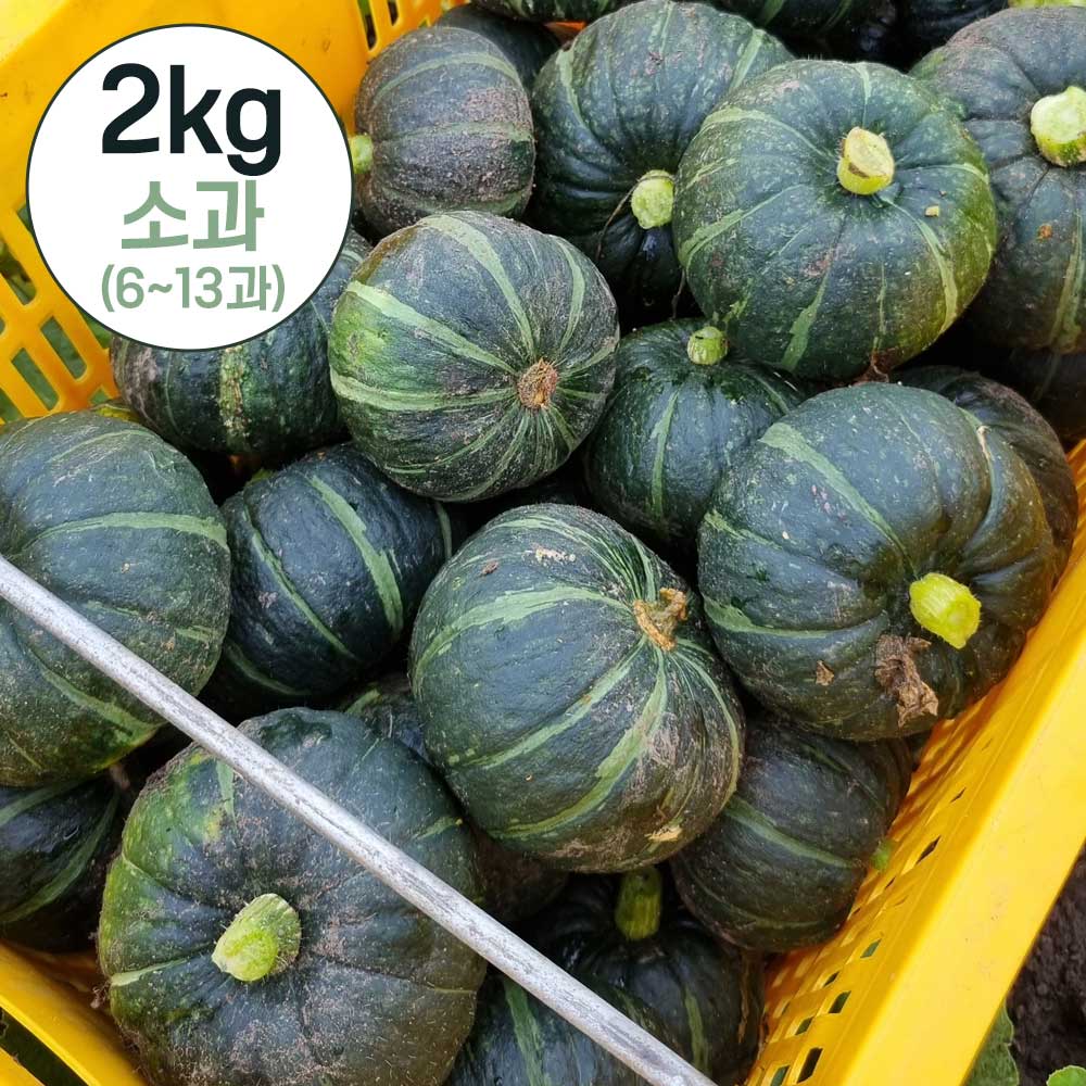 1750315508 thumbnail