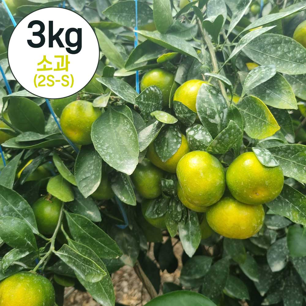 1750315537 thumbnail