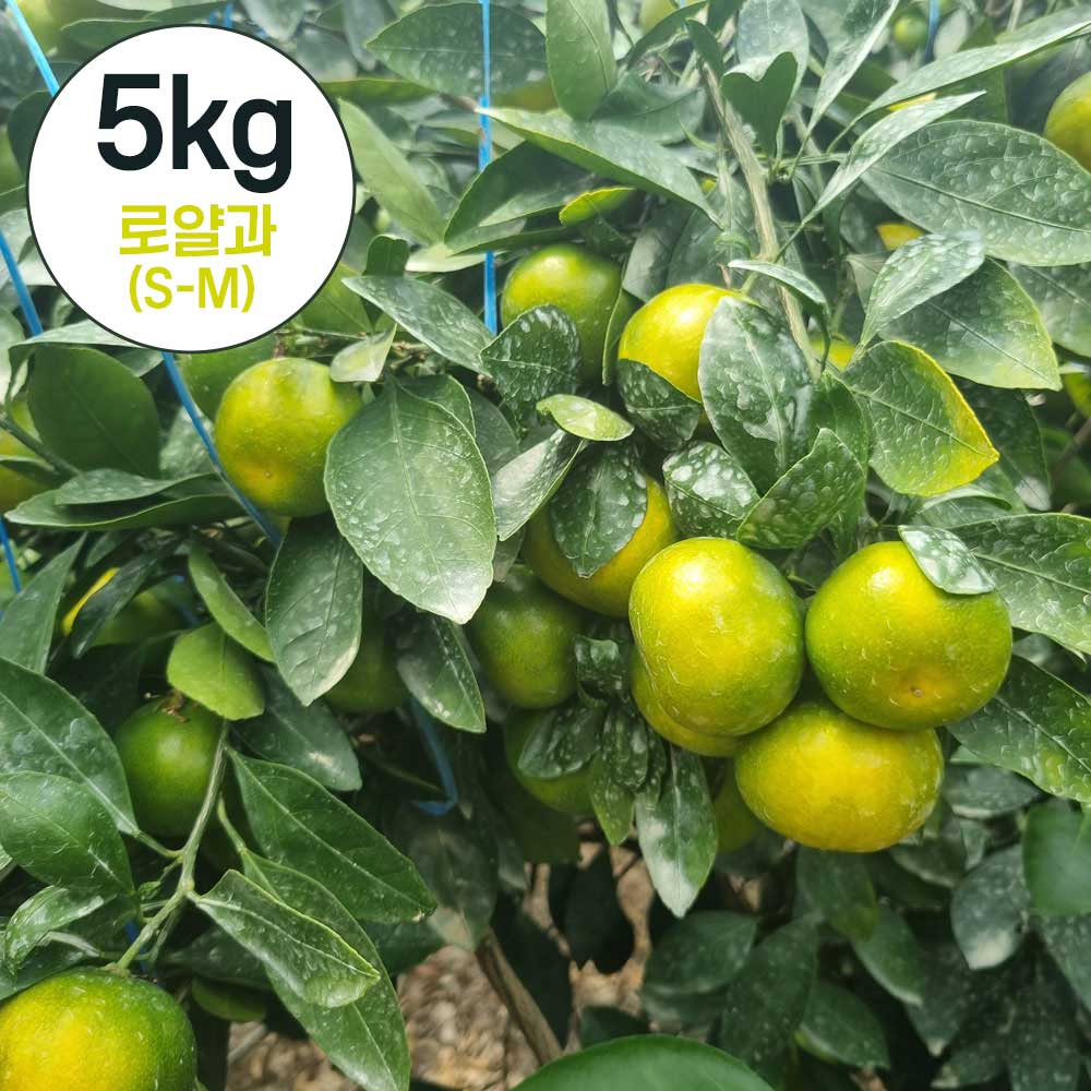 1750315540 thumbnail