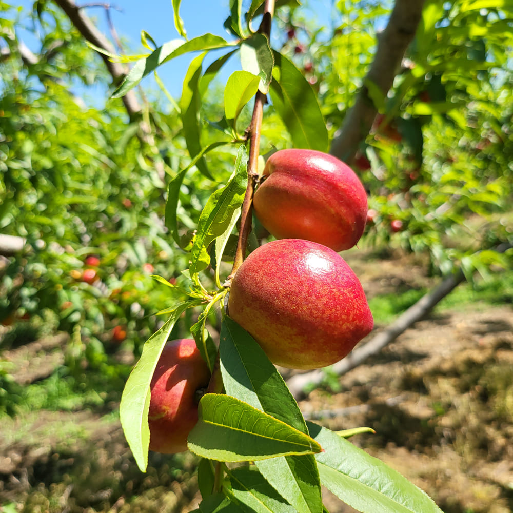 1750745775 thumbnail