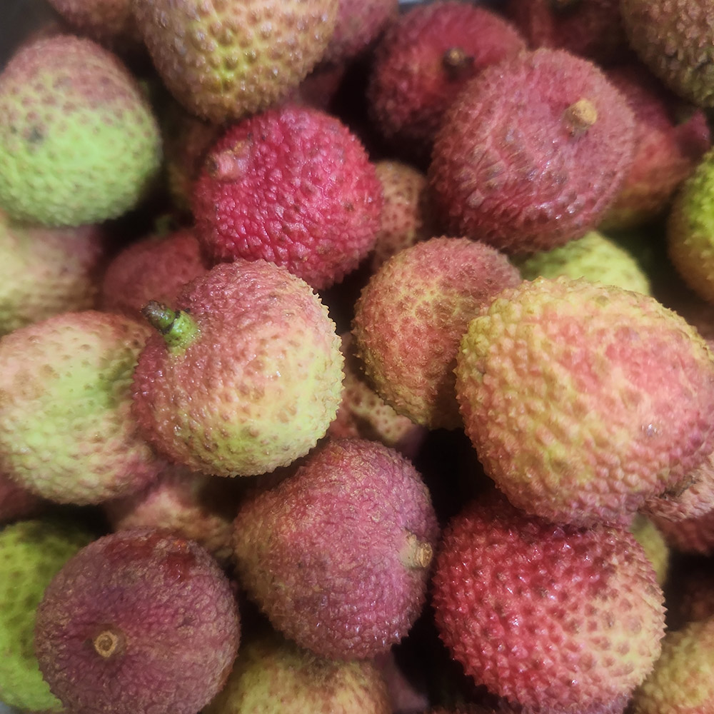 1751008614 thumbnail