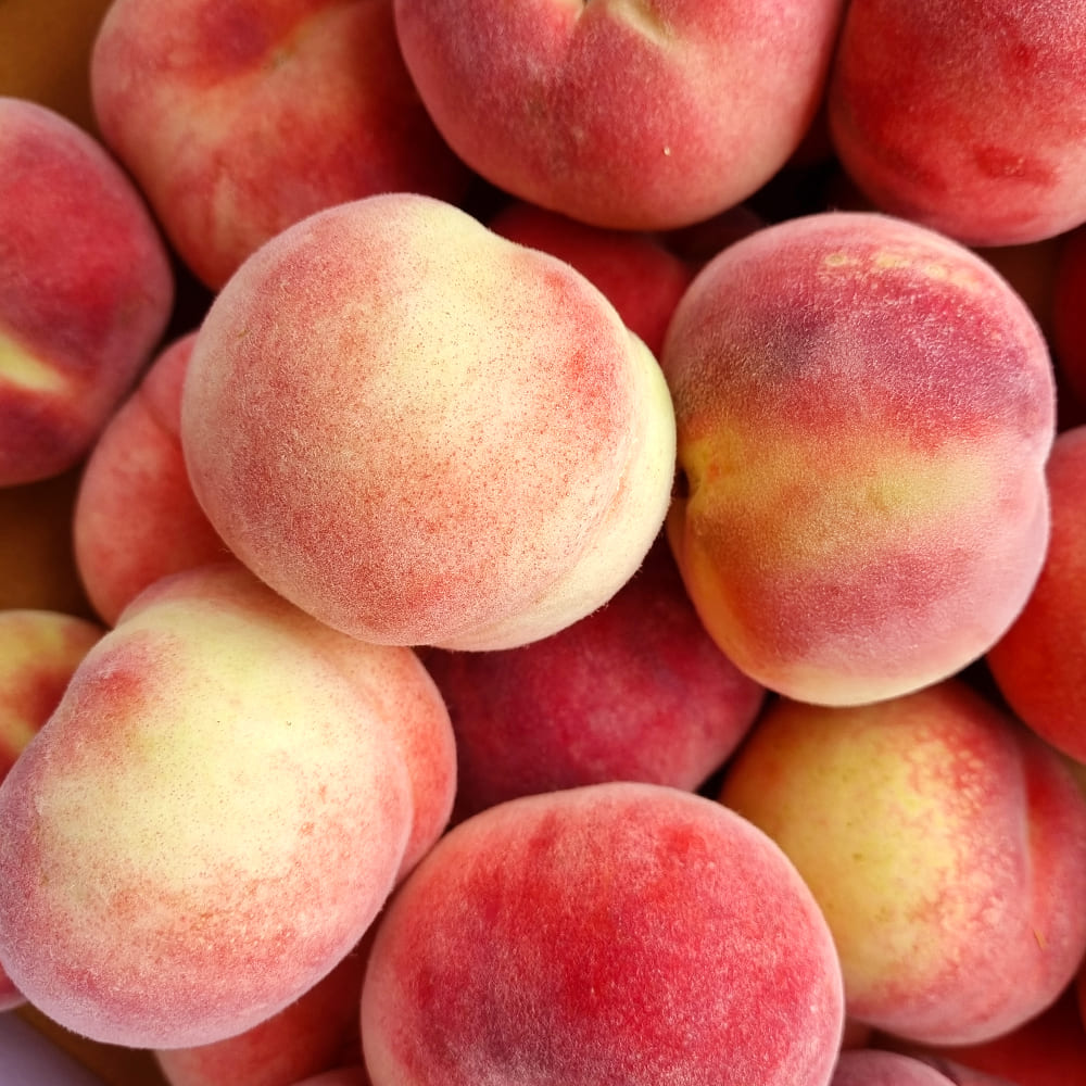 1751601748 thumbnail