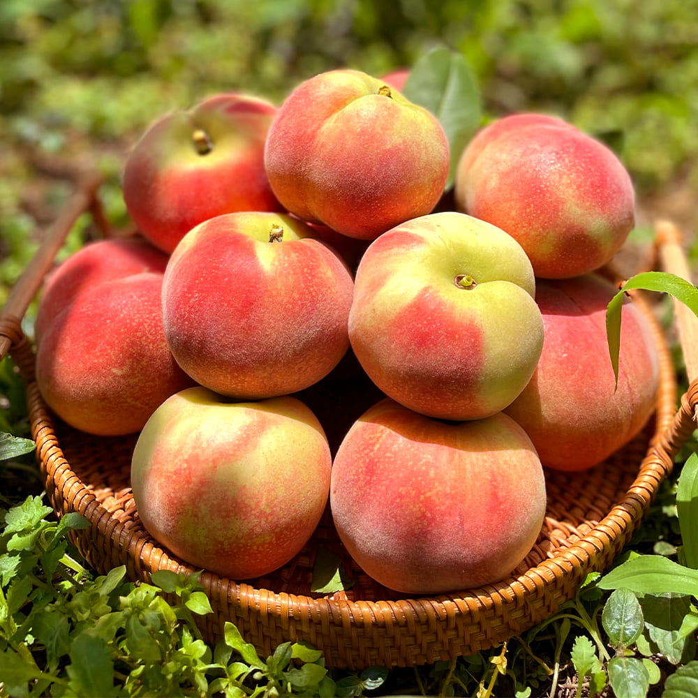 1751601752 thumbnail