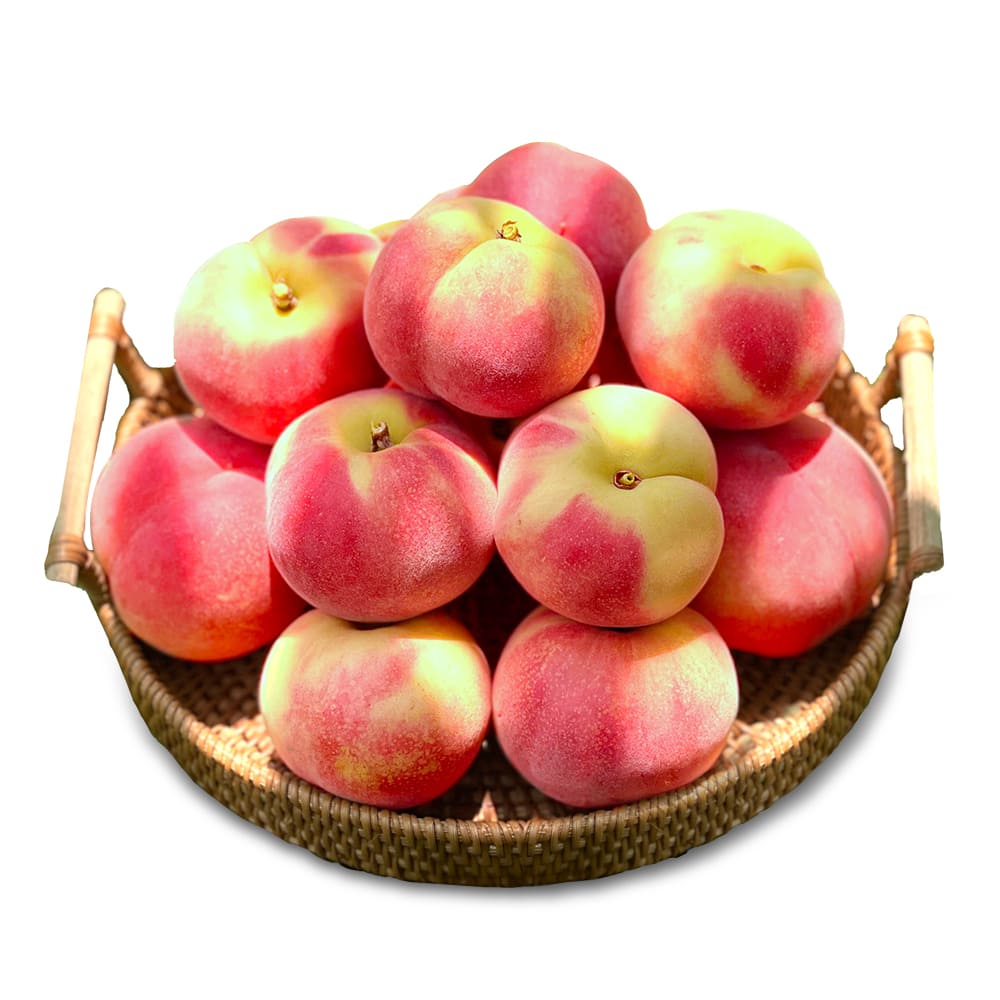 1751601753 thumbnail