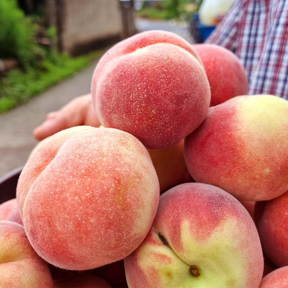 1751601755 thumbnail