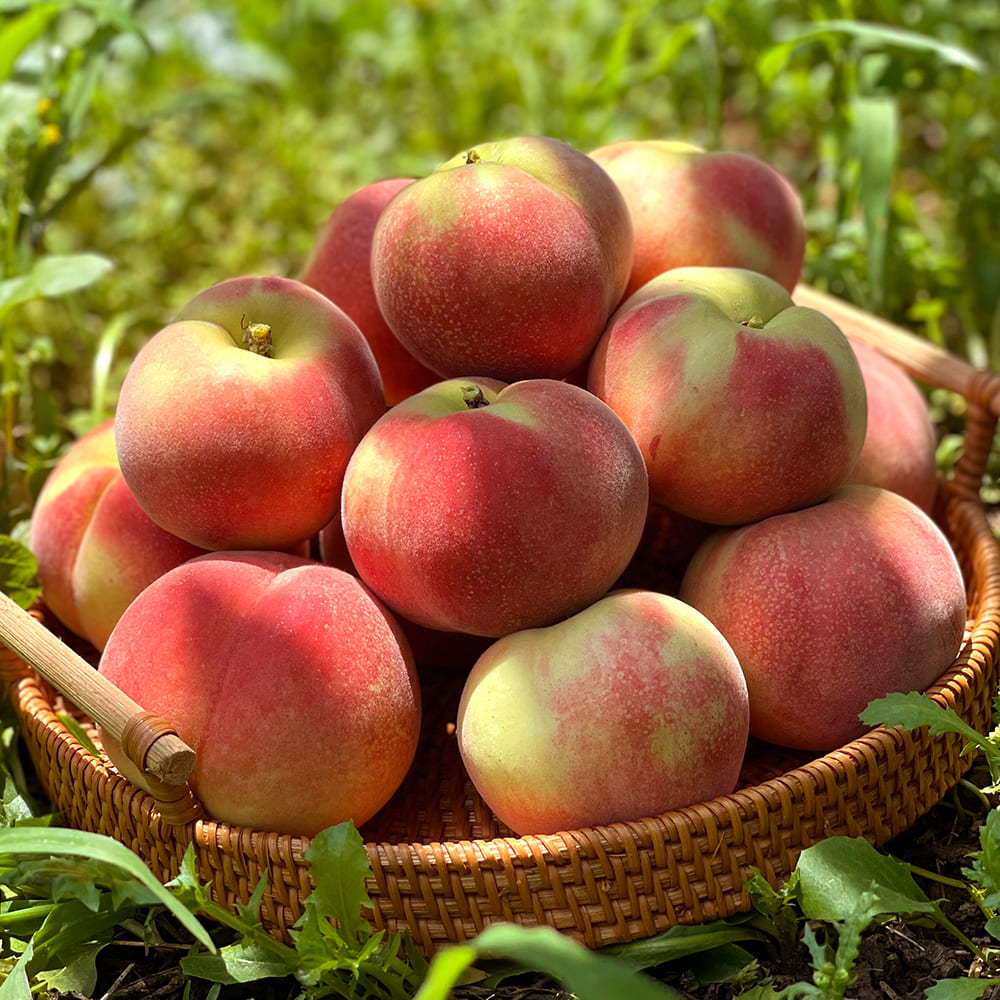 1751601757 thumbnail