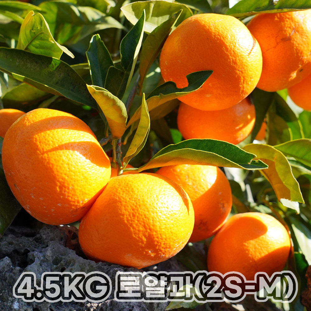 1752048908 thumbnail