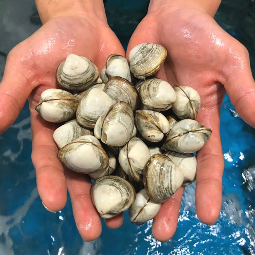 1752127877 thumbnail