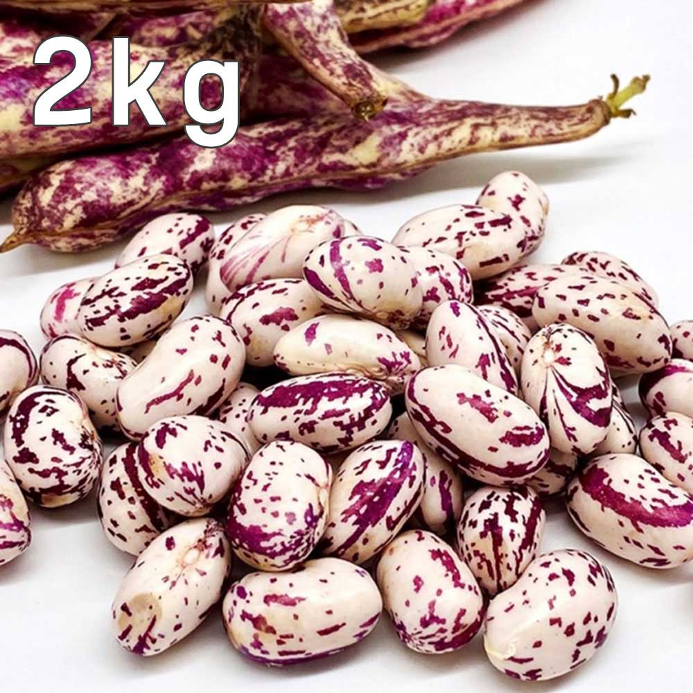 1752220846 thumbnail