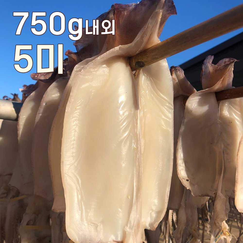 1752474532 thumbnail