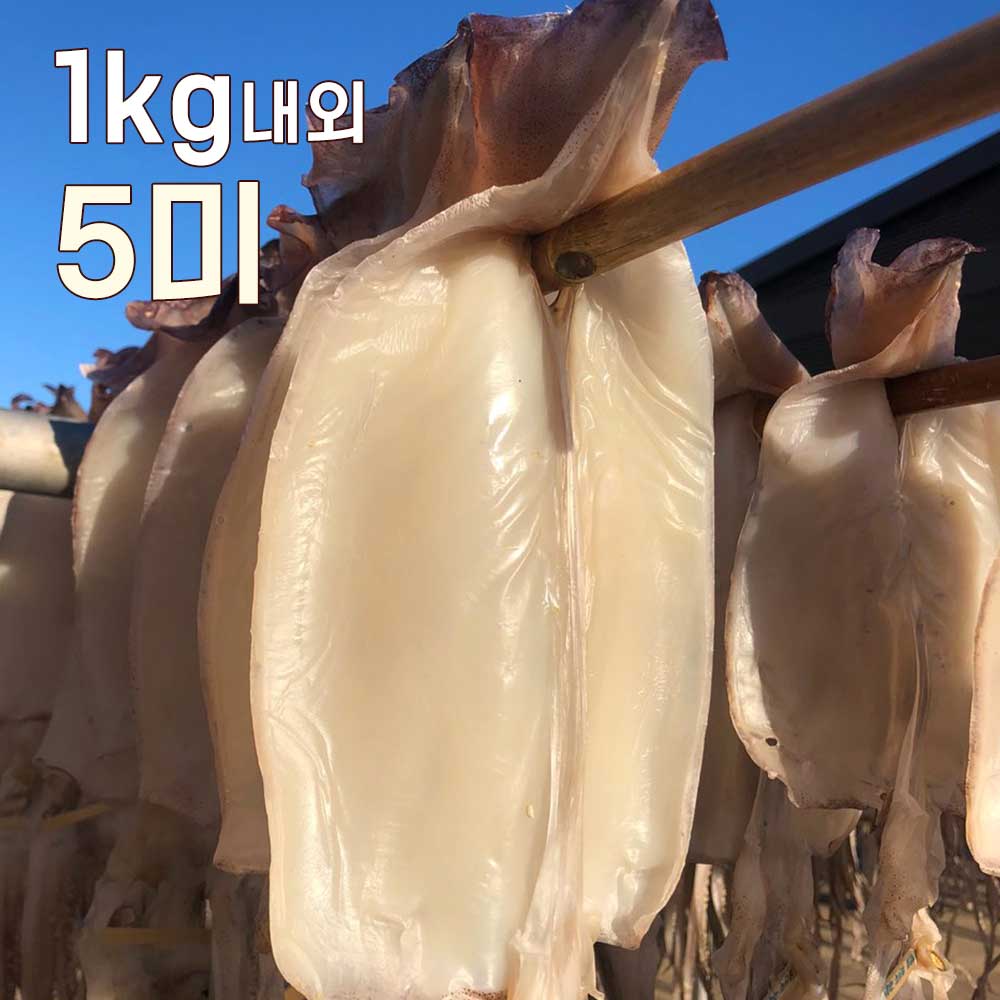 1752474536 thumbnail