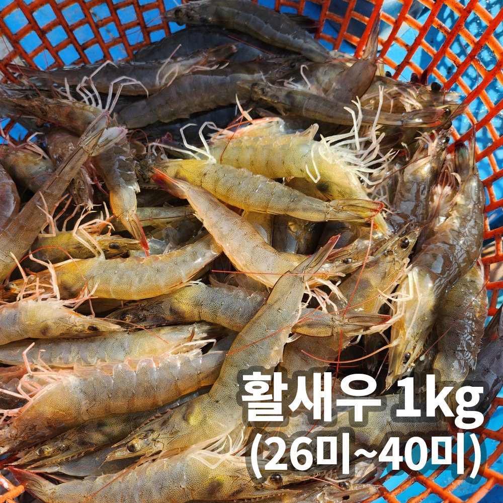 1752728236 thumbnail