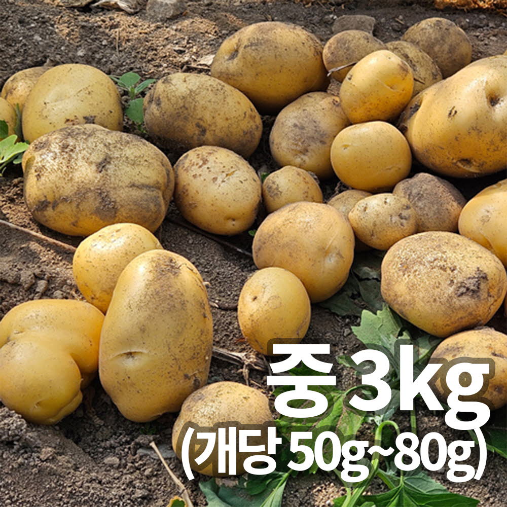 1753058918 thumbnail
