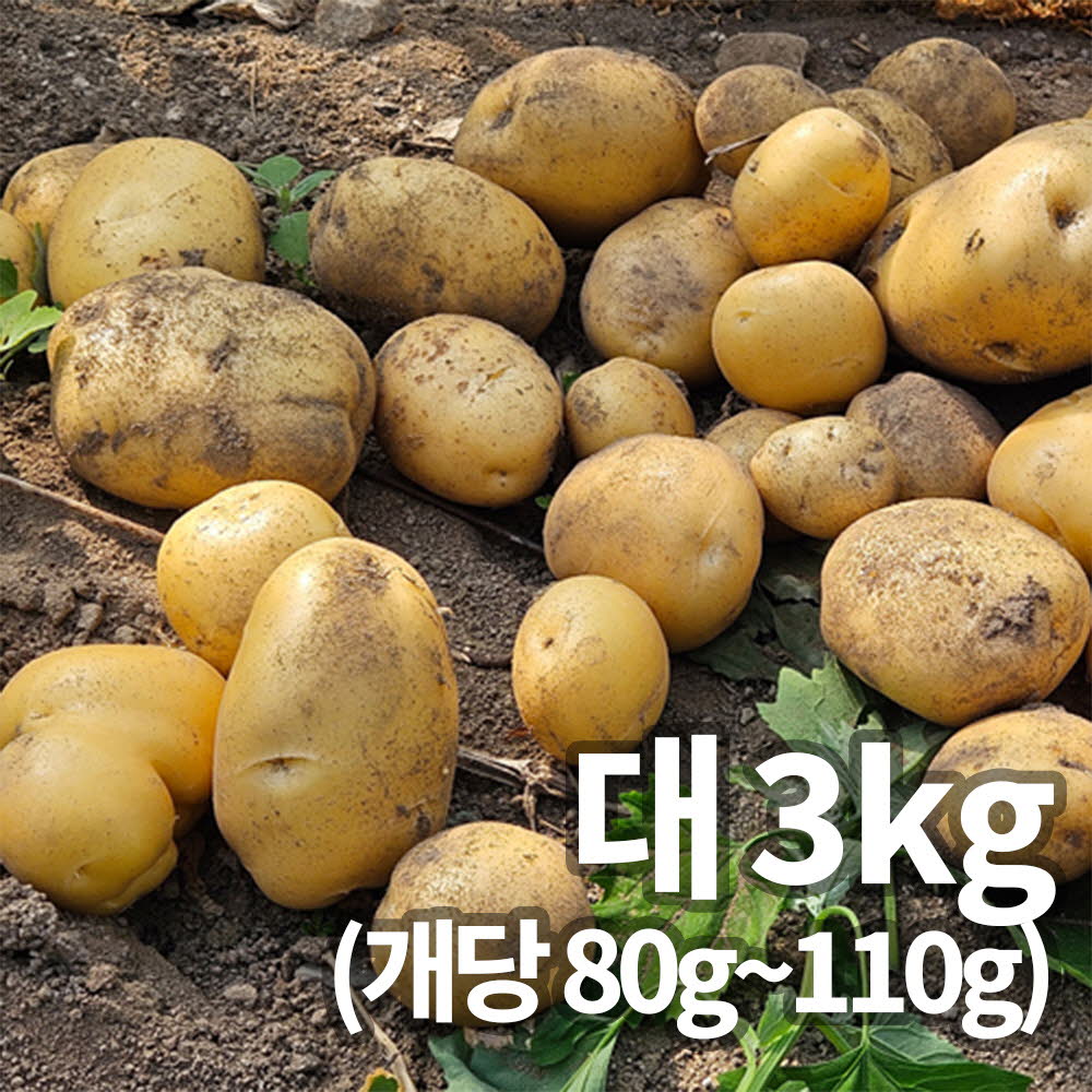 1753058922 thumbnail