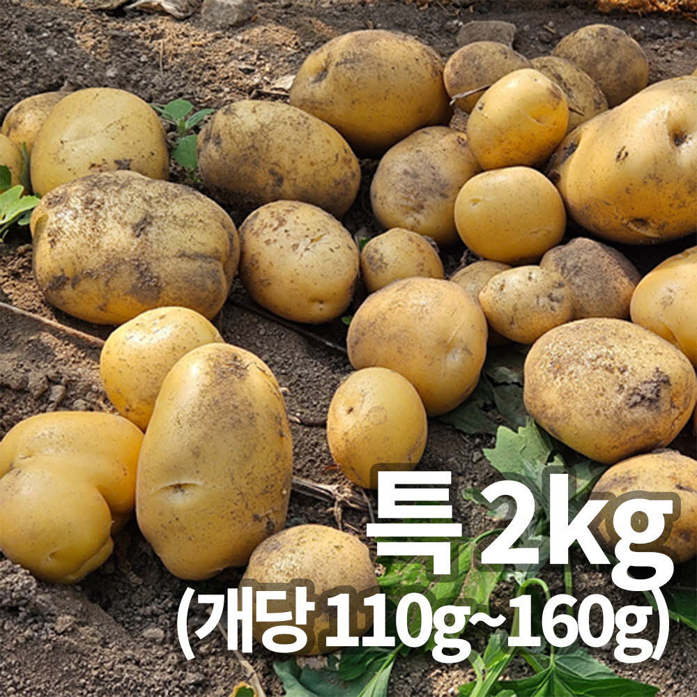1753058925 thumbnail