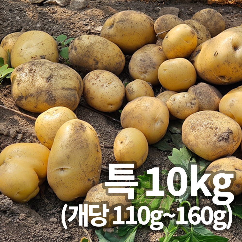 1753058928 thumbnail