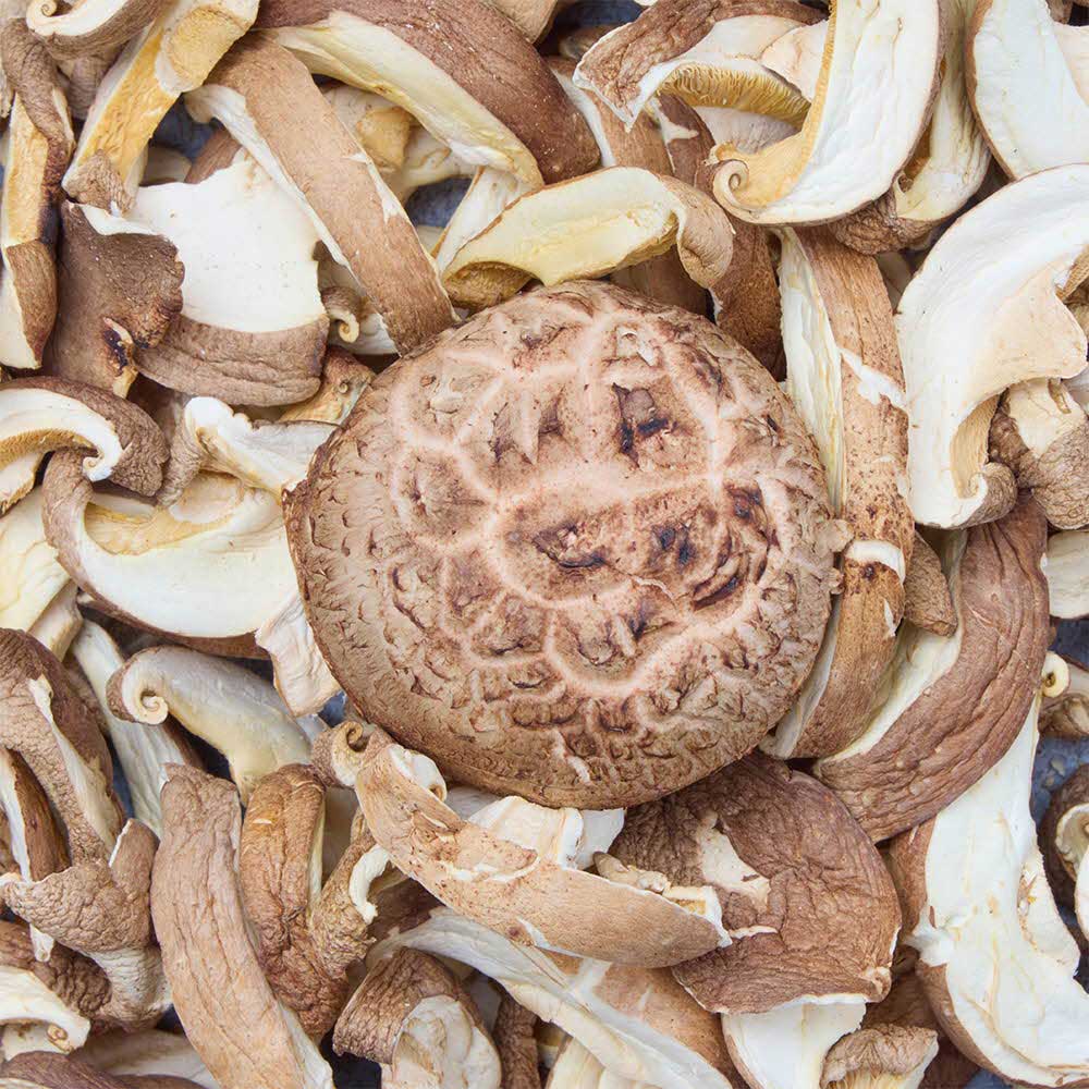 1753319224 thumbnail