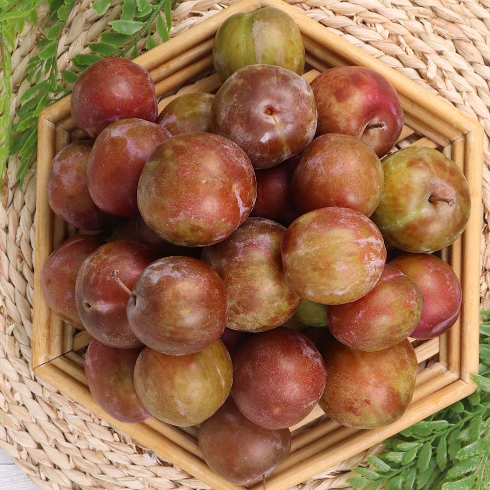 1753345387 thumbnail