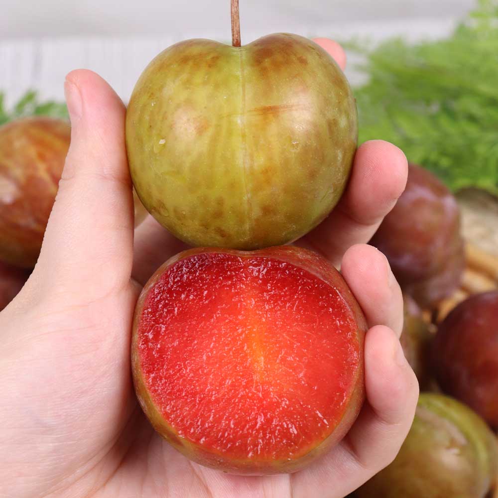 1753345388 thumbnail