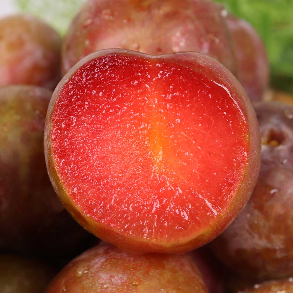 1753345389 thumbnail