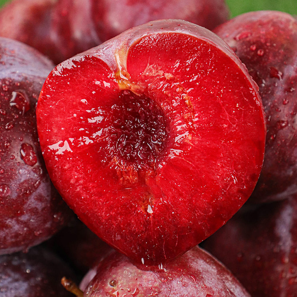 1753345393 thumbnail