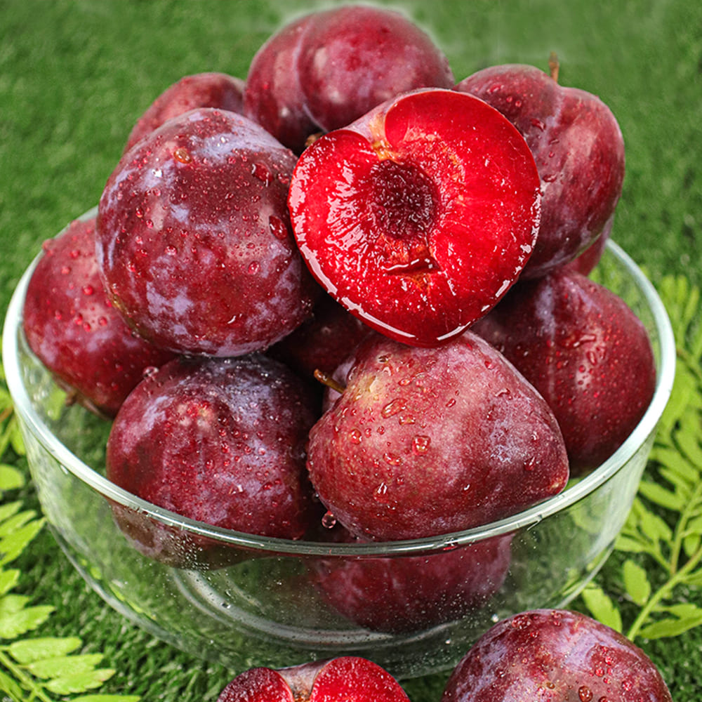 1753345394 thumbnail