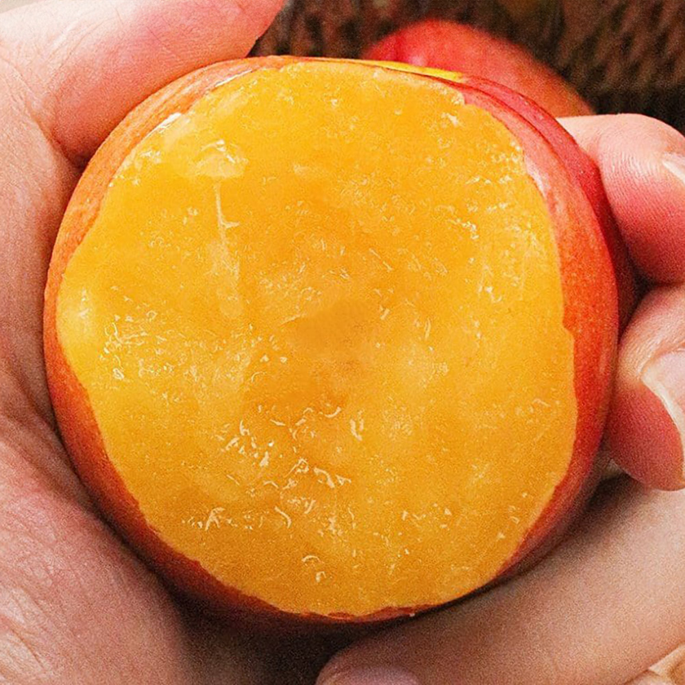 1753345396 thumbnail