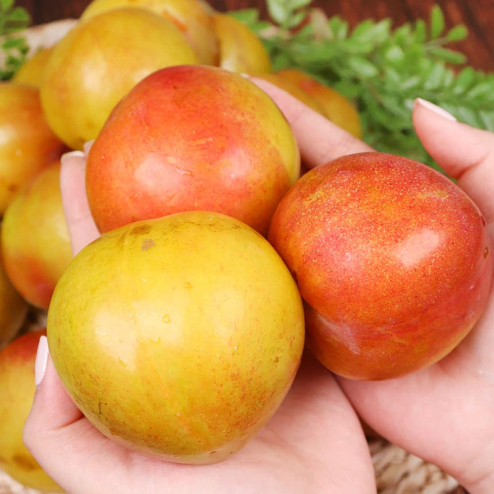 1753345397 thumbnail