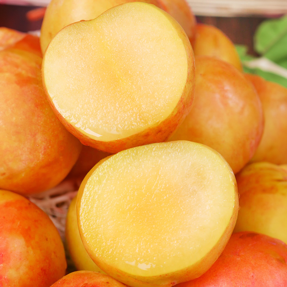 1753345398 thumbnail