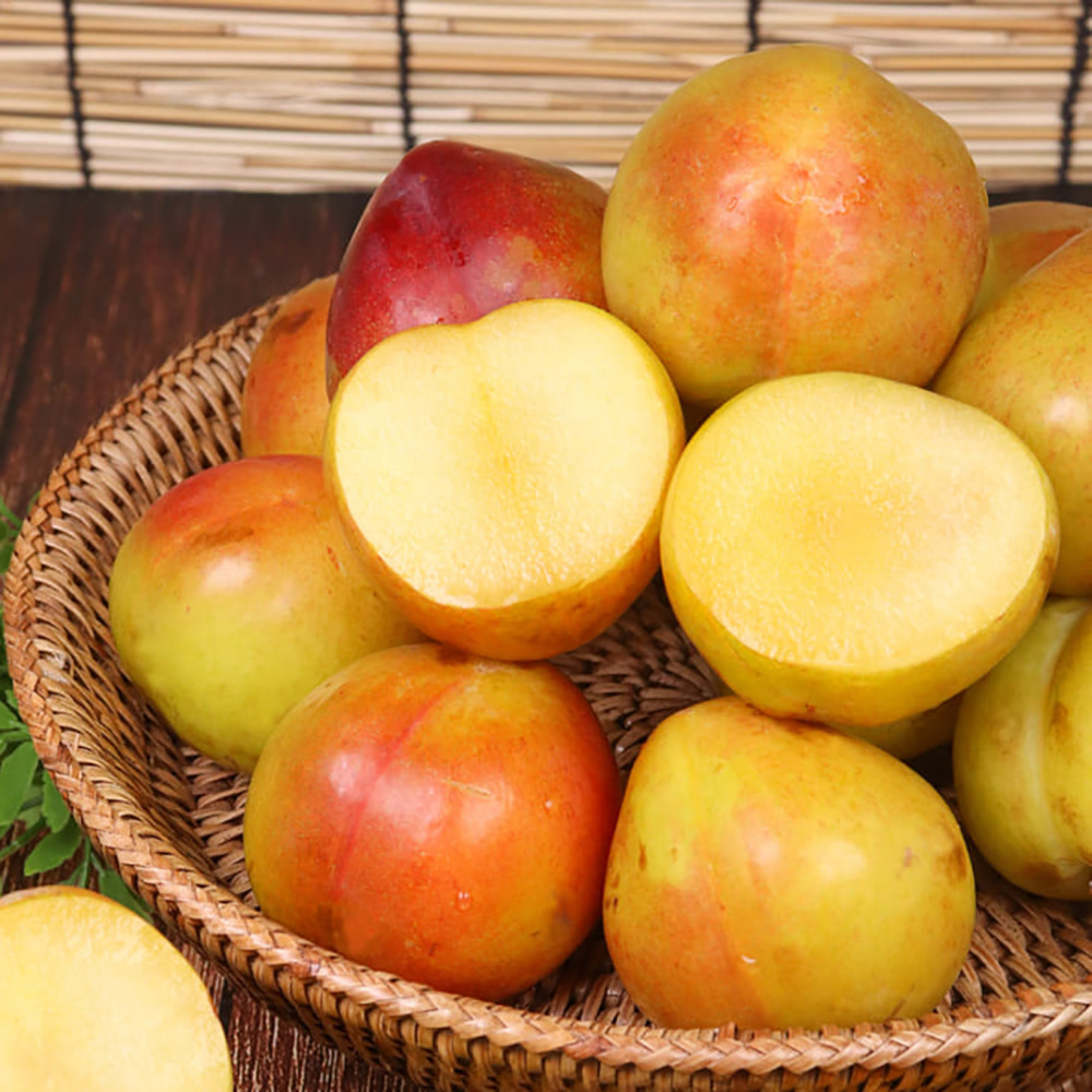 1753345399 thumbnail