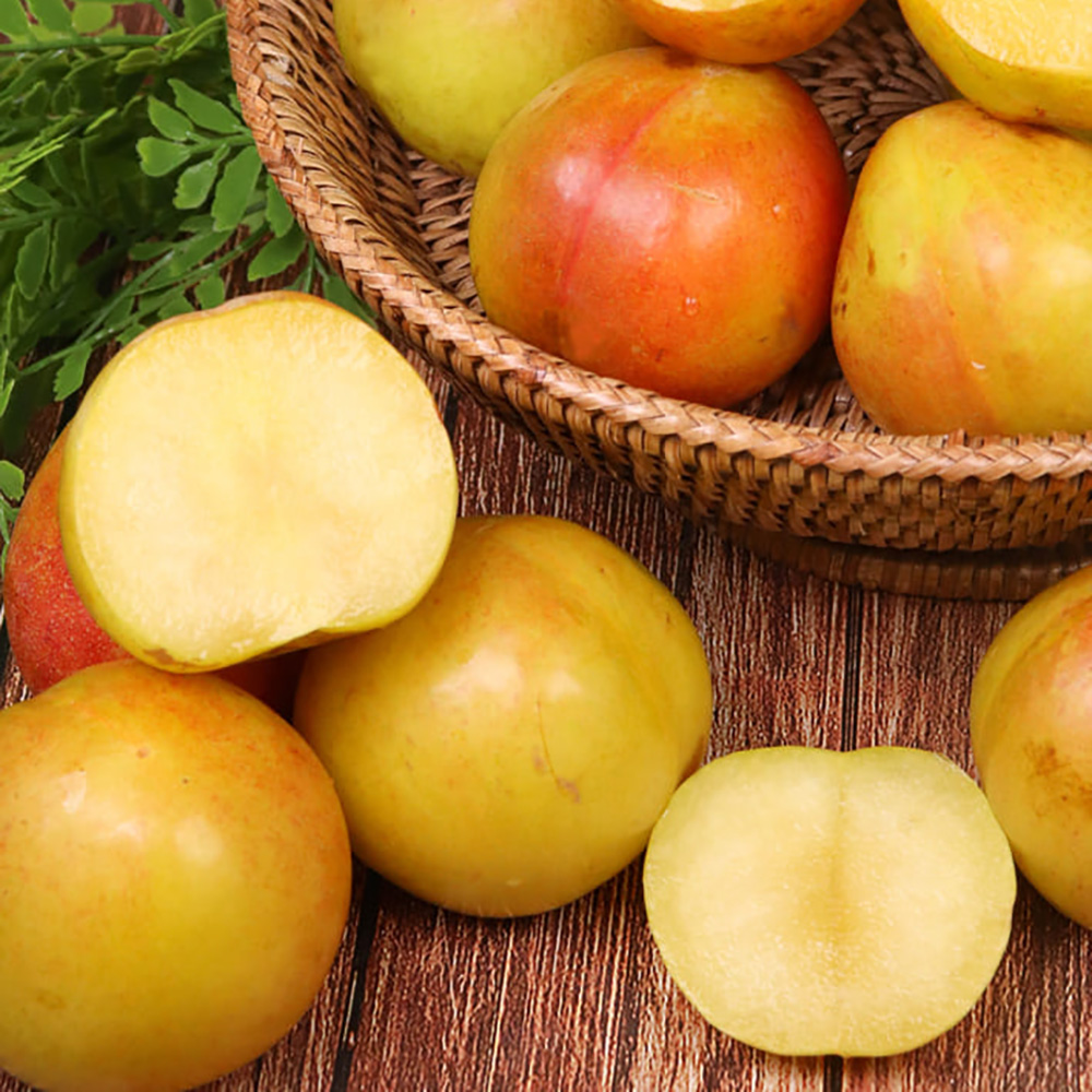 1753345400 thumbnail