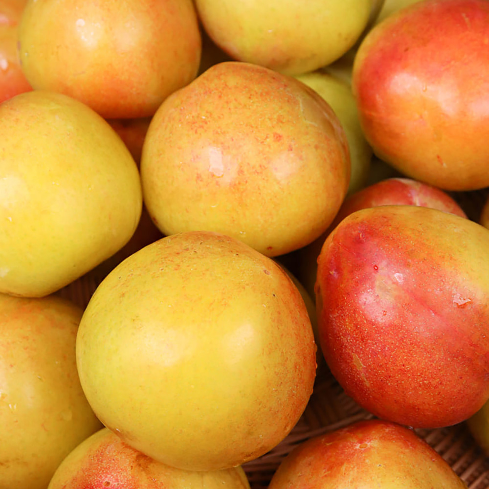 1753345402 thumbnail