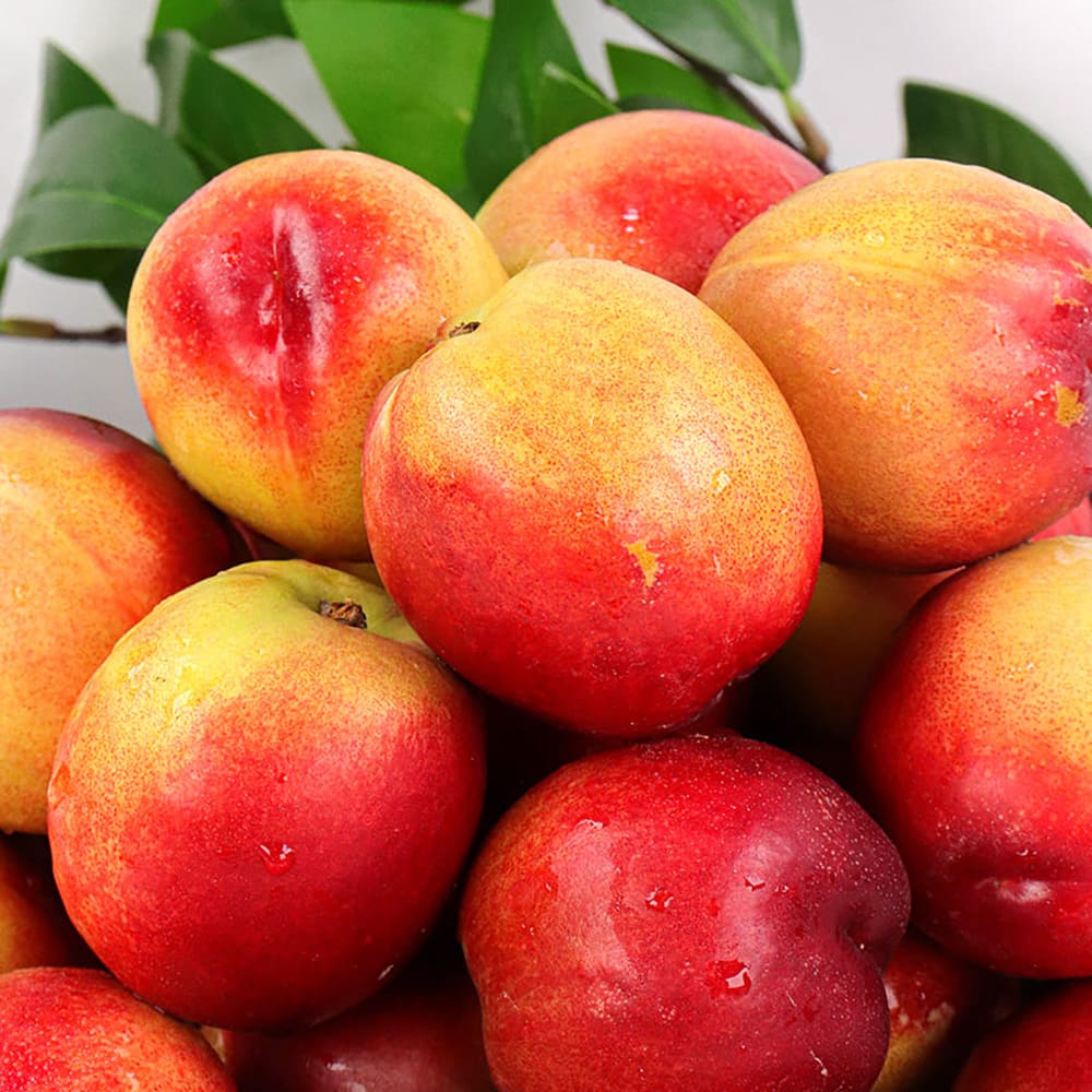 1753345403 thumbnail