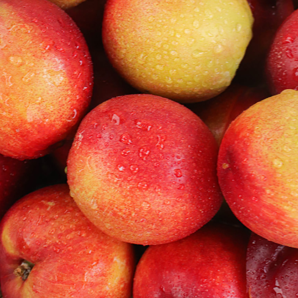 1753345404 thumbnail