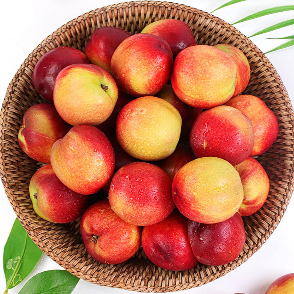 1753345406 thumbnail