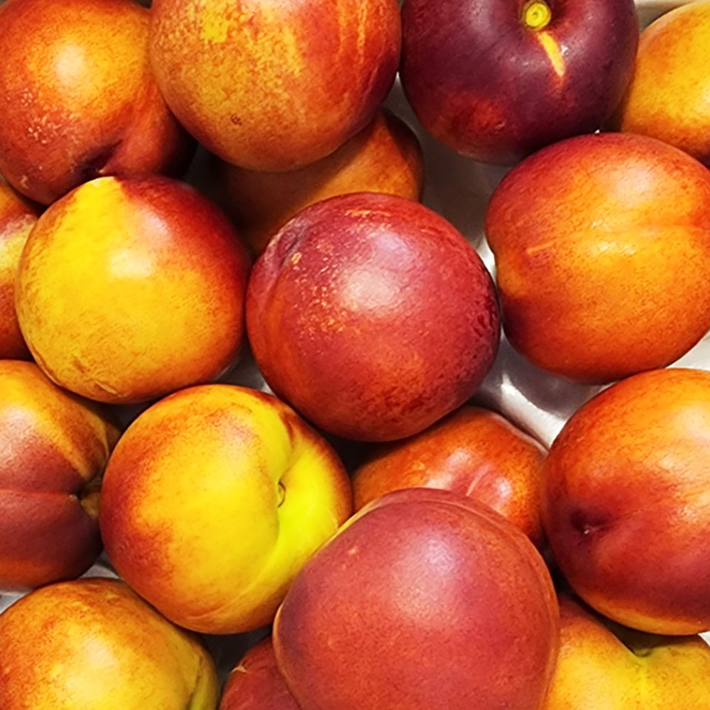 1753345480 thumbnail