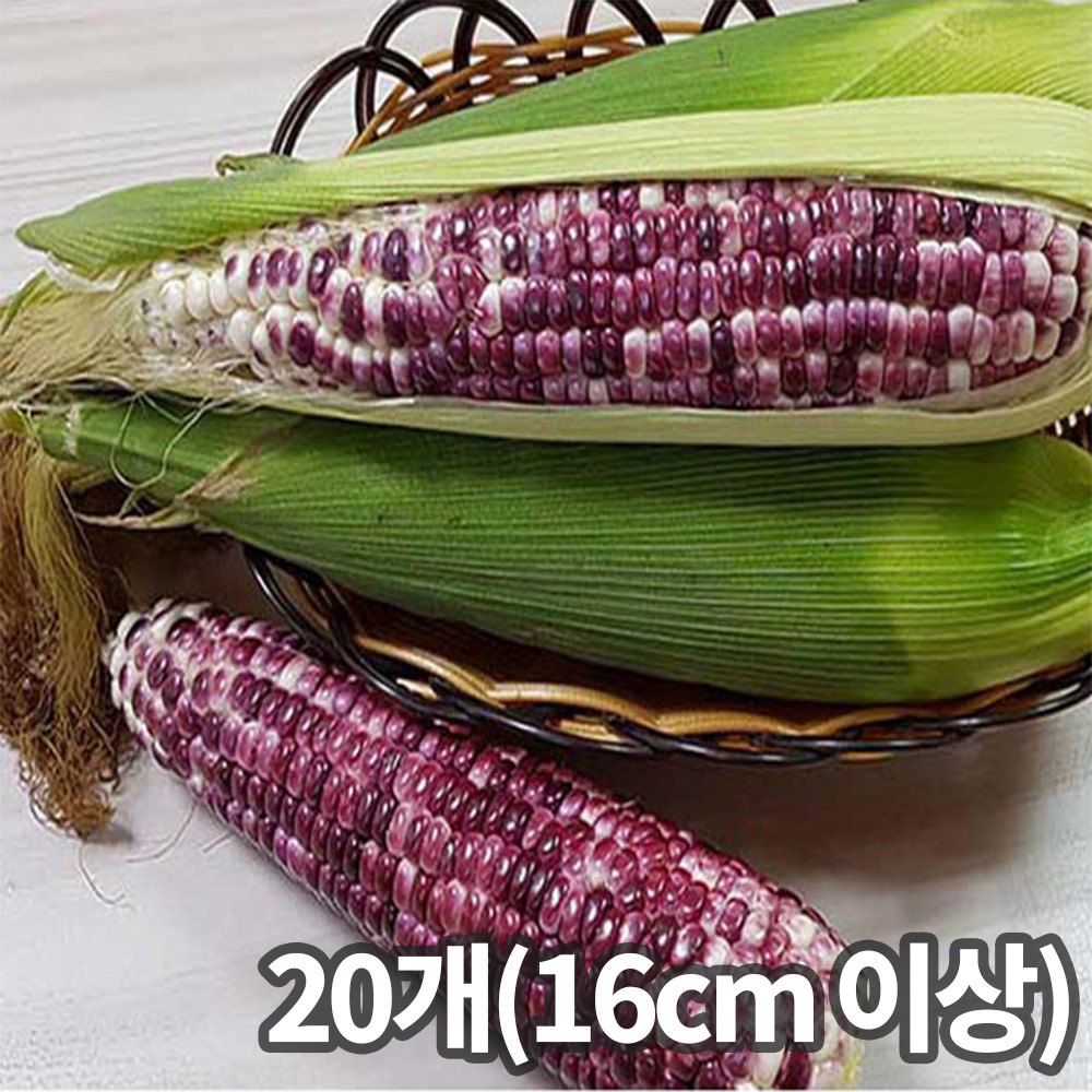 1753670566 thumbnail