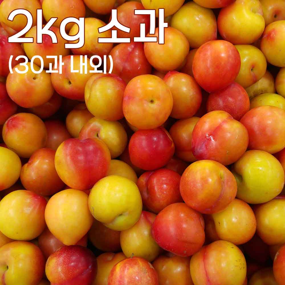 1753775821 thumbnail