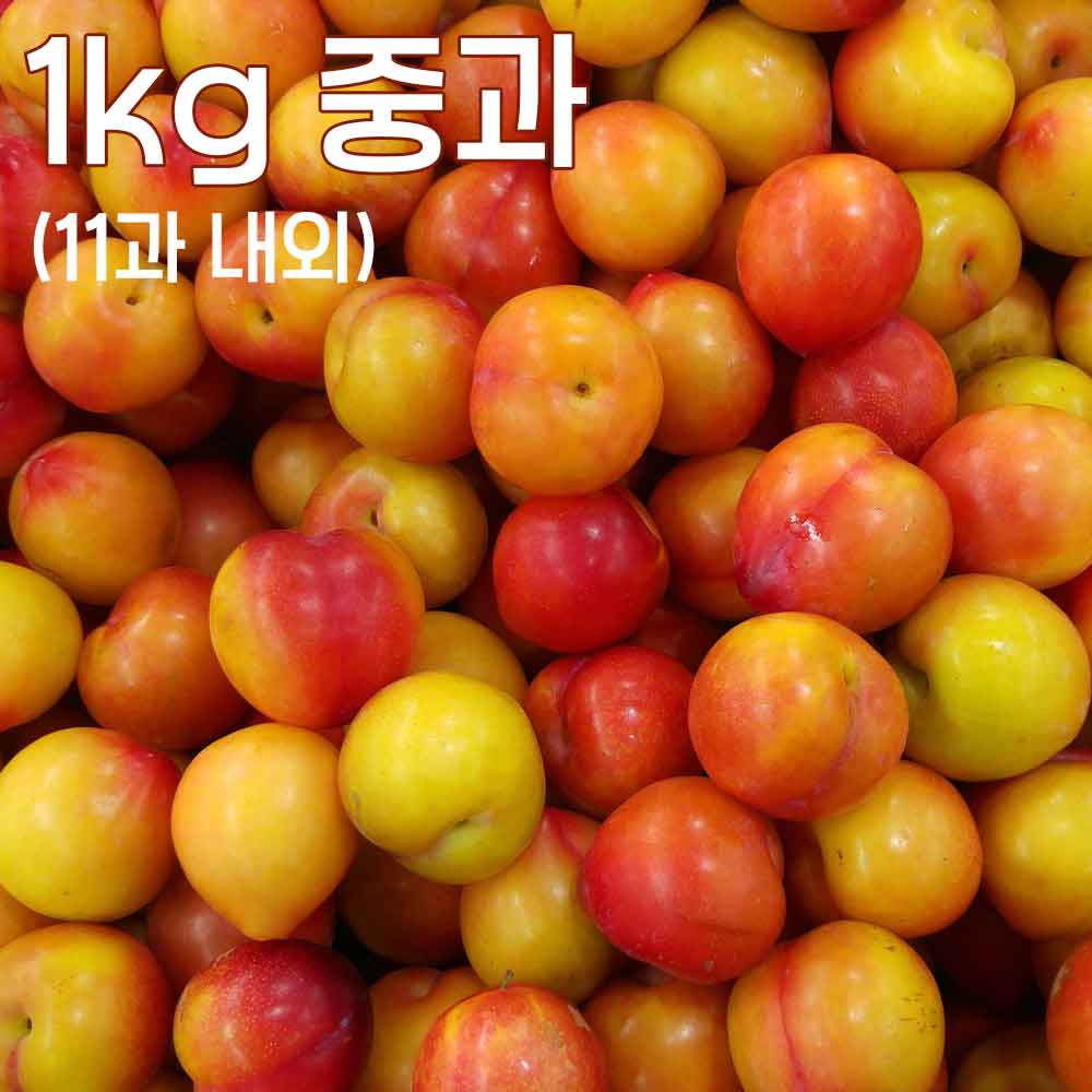 1753775823 thumbnail