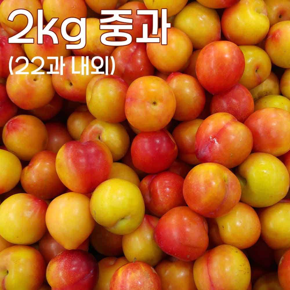 1753775824 thumbnail