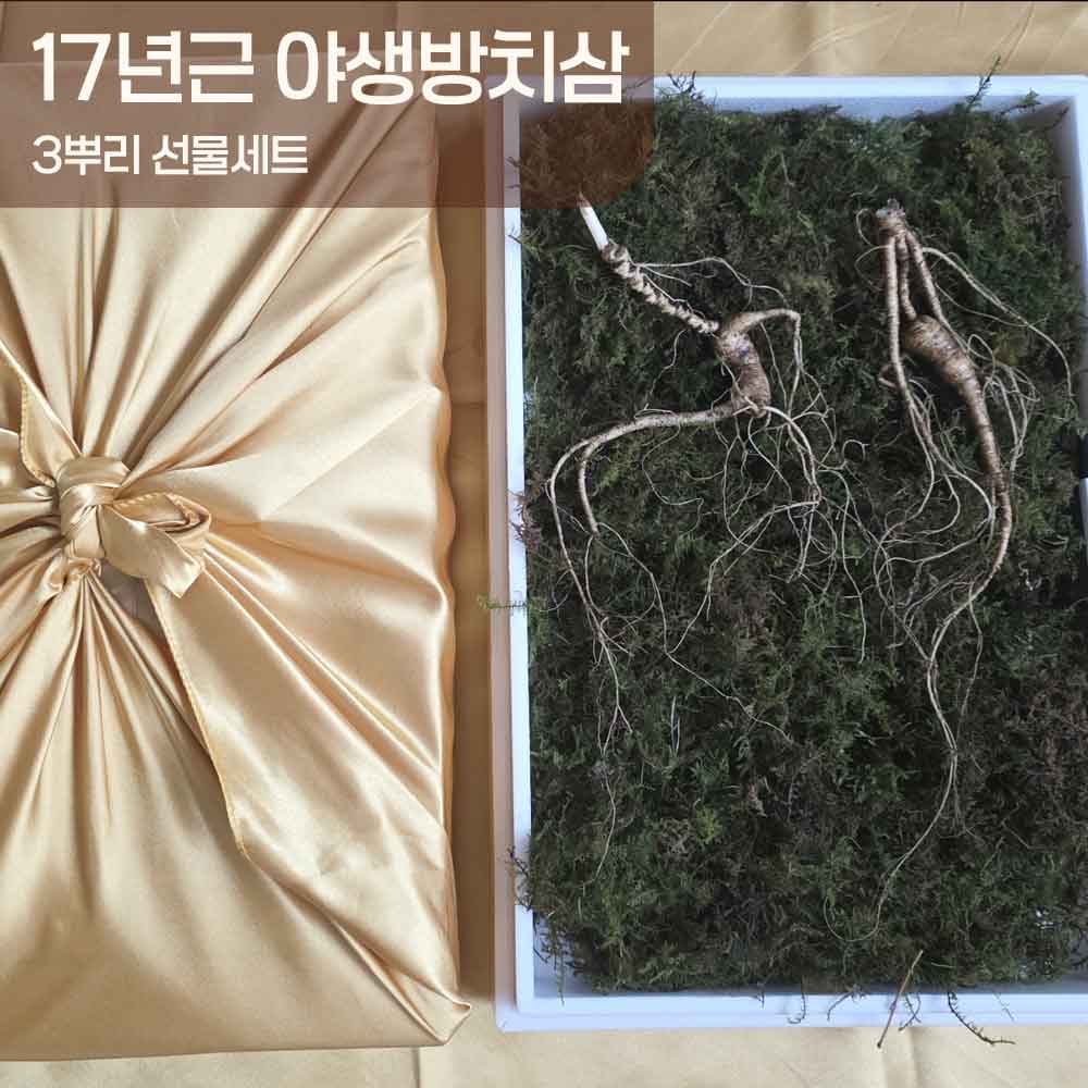 1753860229 thumbnail
