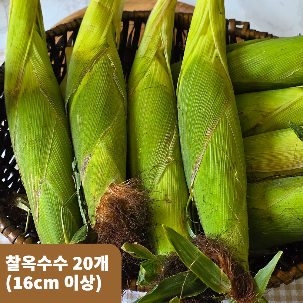 1754356407 thumbnail