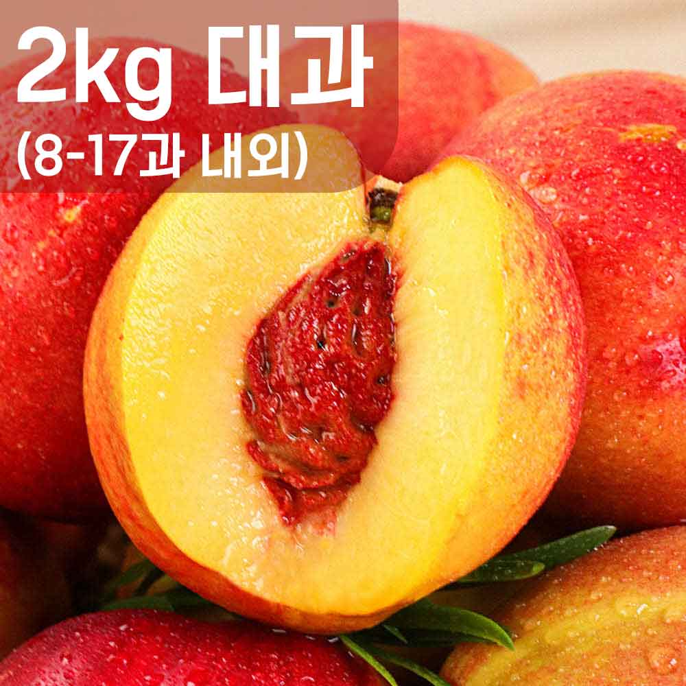 1754380455 thumbnail