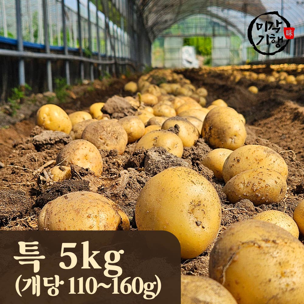 1754625950 thumbnail