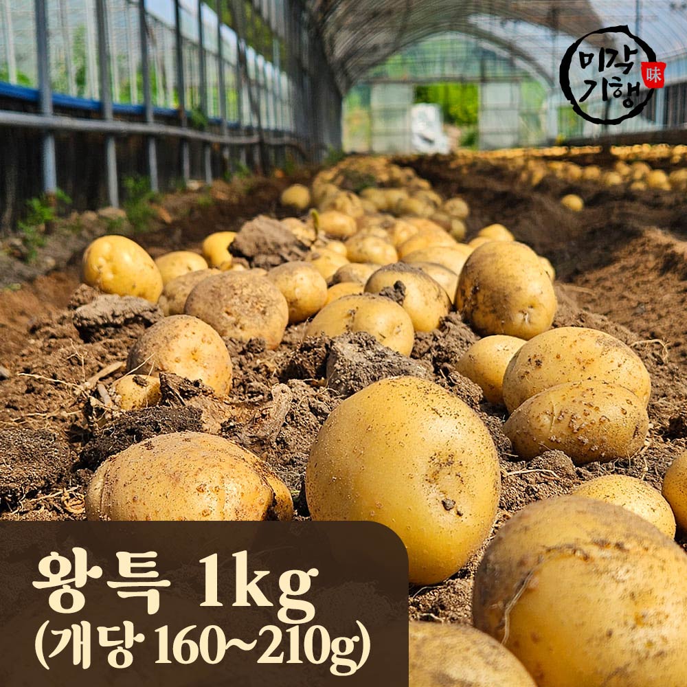 1754625952 thumbnail