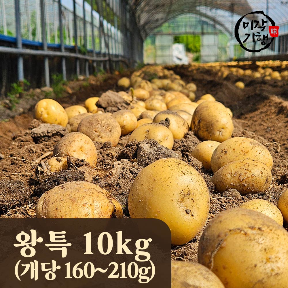 1754625956 thumbnail