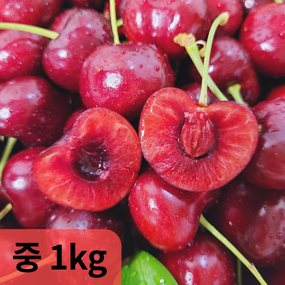 1754626023 thumbnail